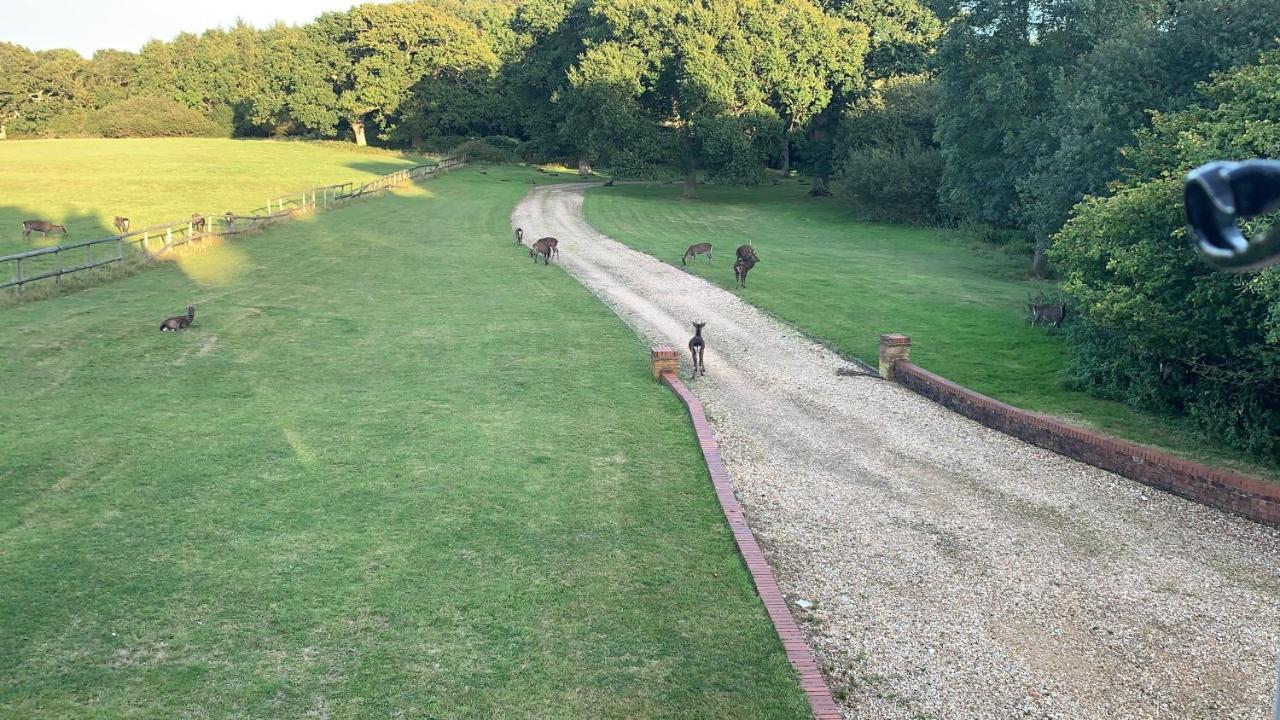 Yards Brake On 40 Acres Of Private Land Βίλα Langton Matravers Εξωτερικό φωτογραφία