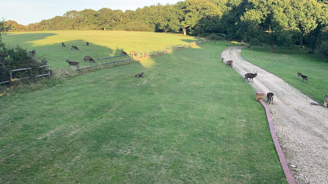 Yards Brake On 40 Acres Of Private Land Βίλα Langton Matravers Εξωτερικό φωτογραφία