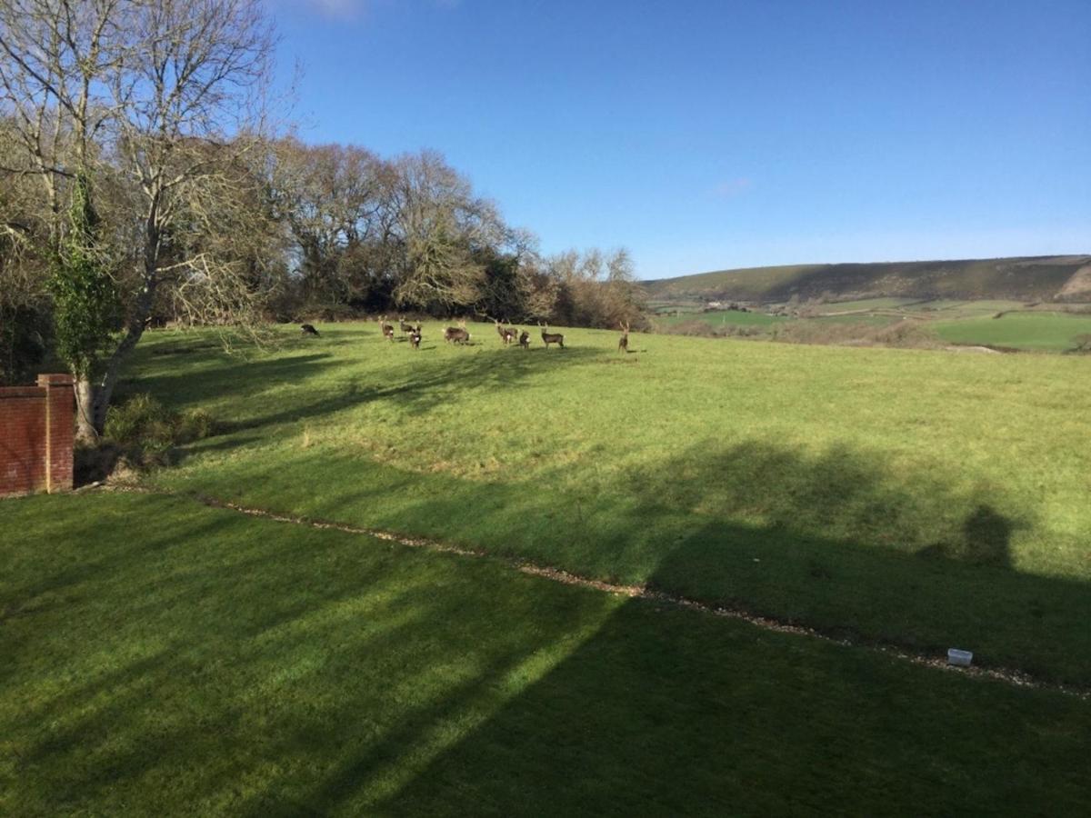 Yards Brake On 40 Acres Of Private Land Βίλα Langton Matravers Εξωτερικό φωτογραφία