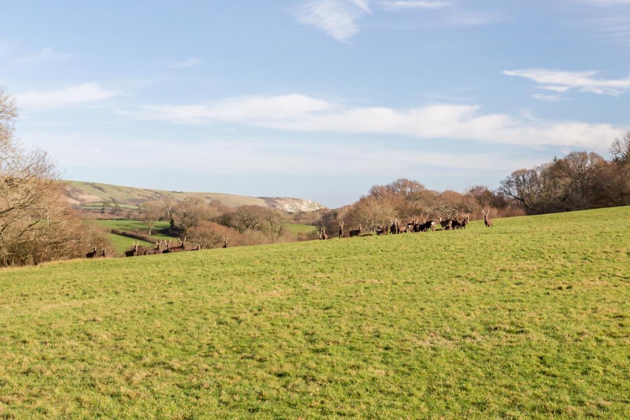 Yards Brake On 40 Acres Of Private Land Βίλα Langton Matravers Εξωτερικό φωτογραφία